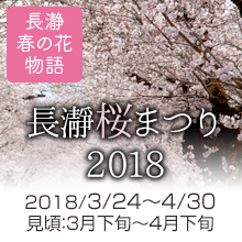 イベント画像